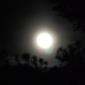 Lunar Eclipse